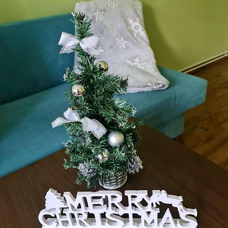 Apartament Modern Cristina&Jessica Mediaş Zewnętrze zdjęcie