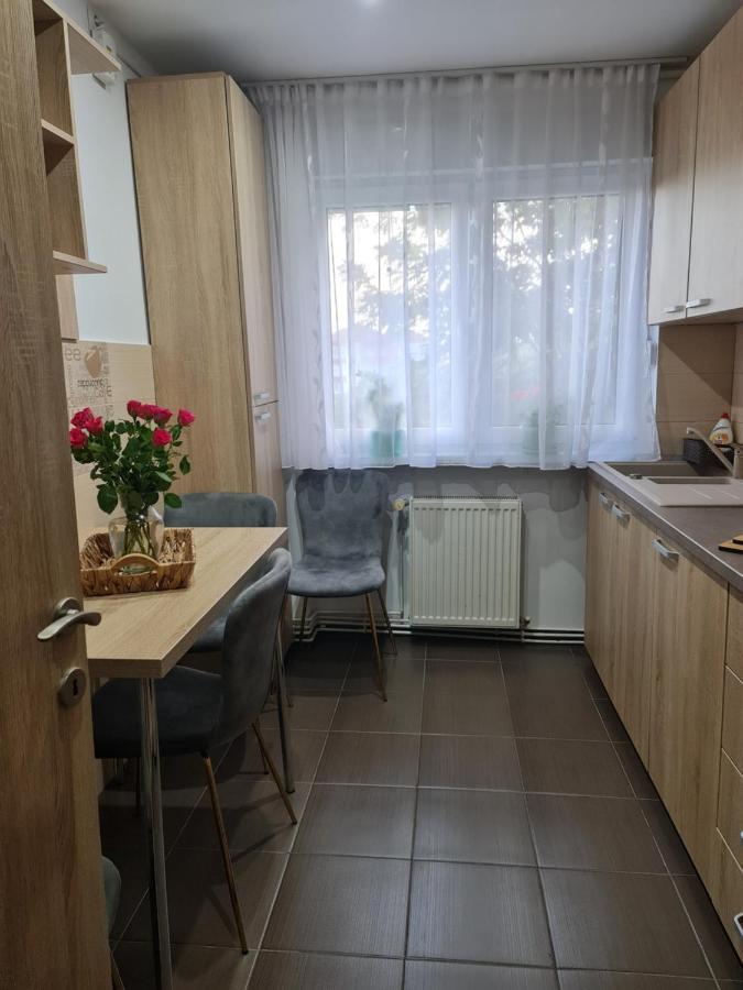 Apartament Modern Cristina&Jessica Mediaş Zewnętrze zdjęcie