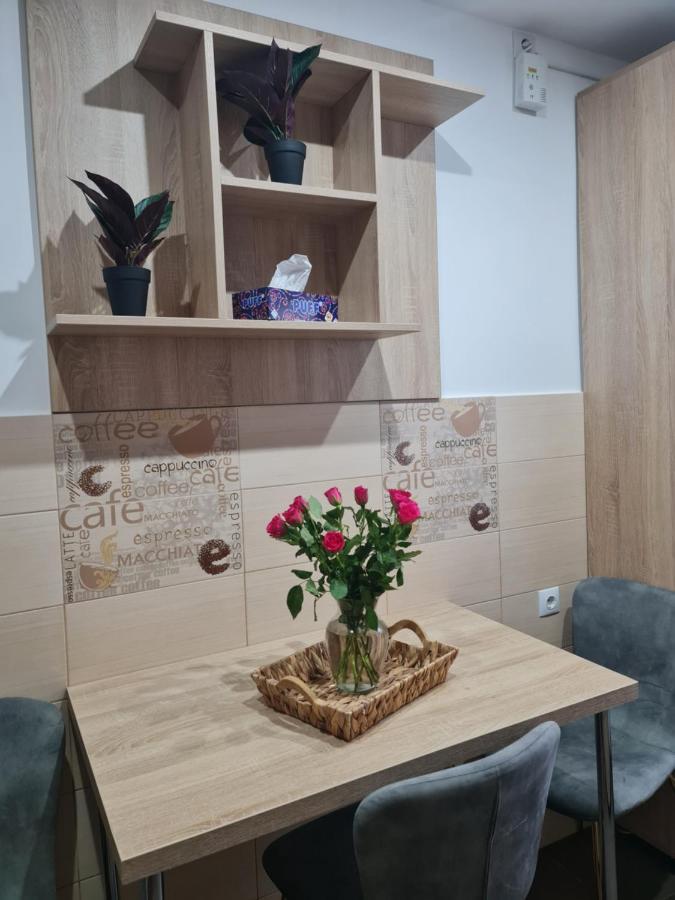 Apartament Modern Cristina&Jessica Mediaş Zewnętrze zdjęcie