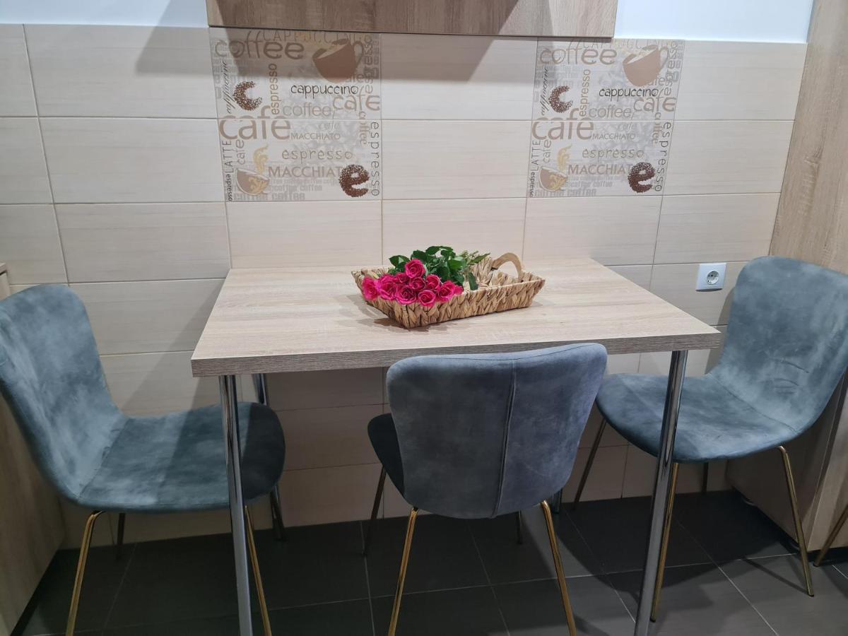 Apartament Modern Cristina&Jessica Mediaş Zewnętrze zdjęcie