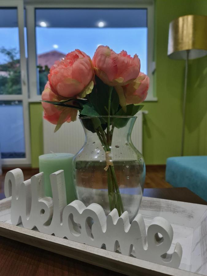 Apartament Modern Cristina&Jessica Mediaş Zewnętrze zdjęcie