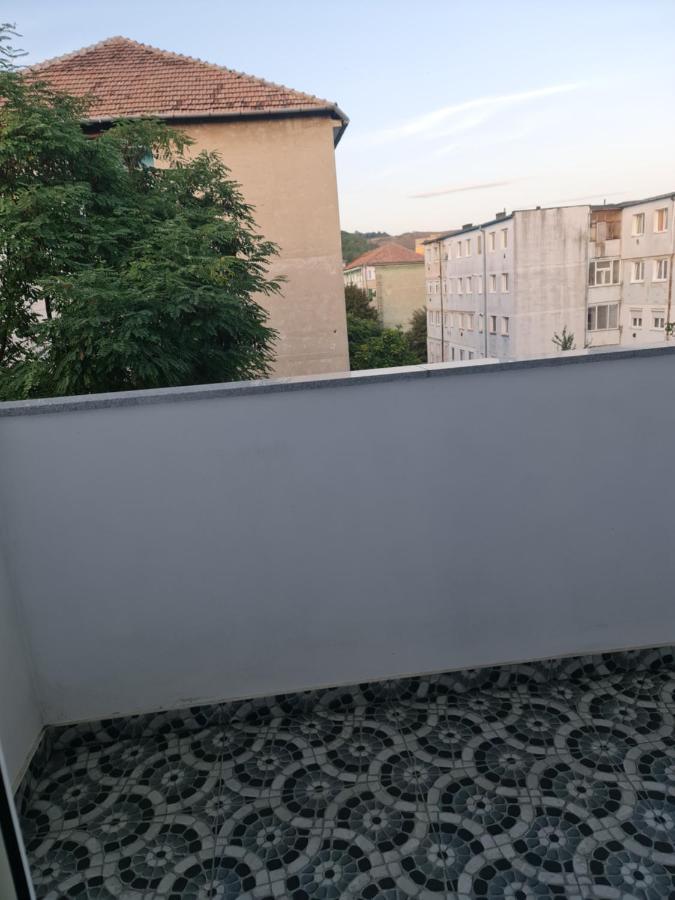 Apartament Modern Cristina&Jessica Mediaş Zewnętrze zdjęcie