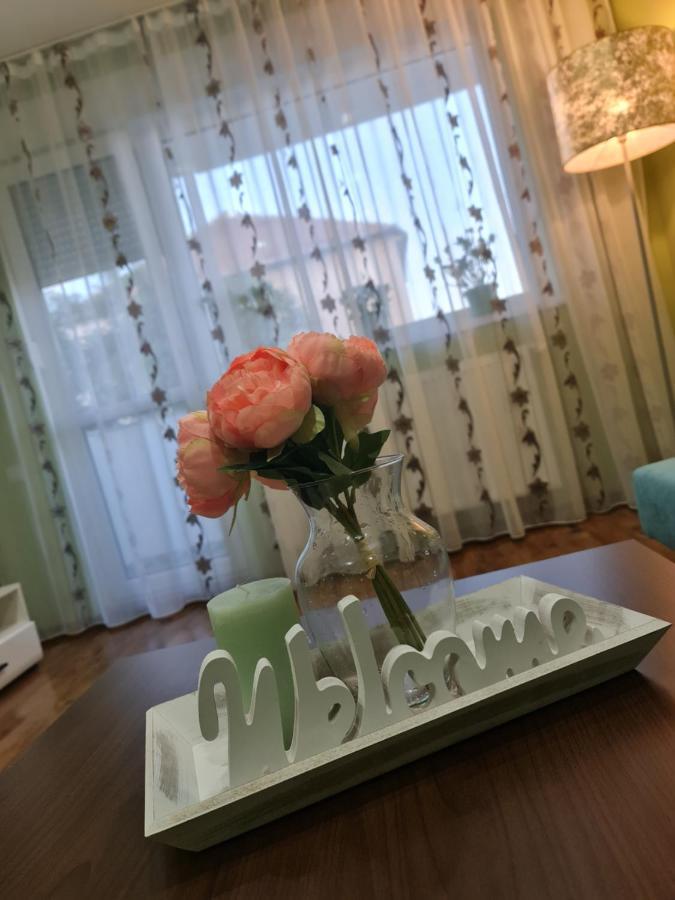 Apartament Modern Cristina&Jessica Mediaş Zewnętrze zdjęcie