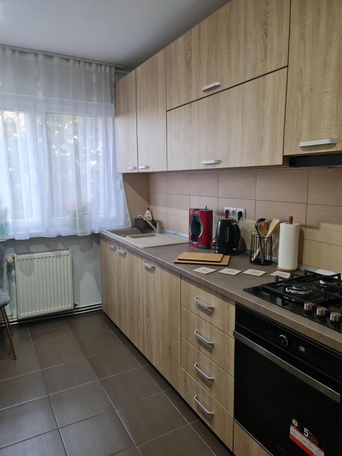 Apartament Modern Cristina&Jessica Mediaş Zewnętrze zdjęcie