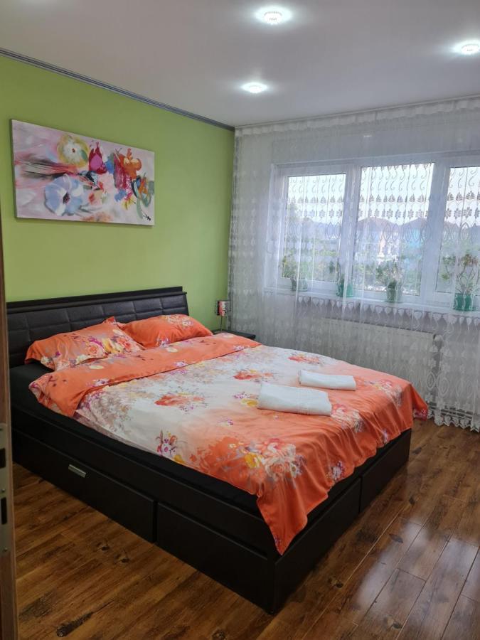 Apartament Modern Cristina&Jessica Mediaş Zewnętrze zdjęcie