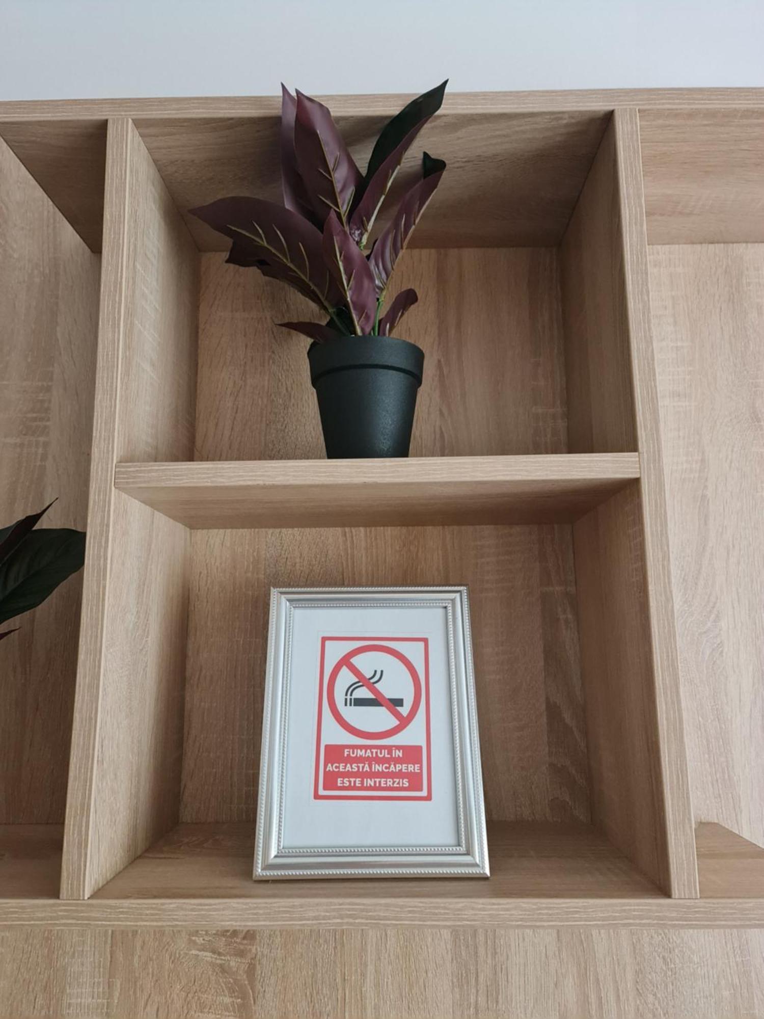 Apartament Modern Cristina&Jessica Mediaş Zewnętrze zdjęcie