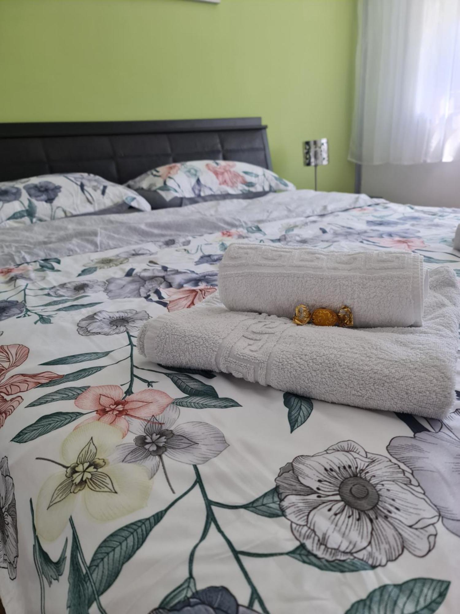 Apartament Modern Cristina&Jessica Mediaş Zewnętrze zdjęcie